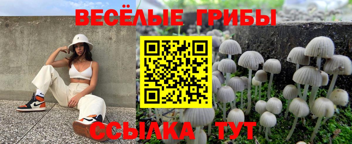 Псилоцибиновые грибы GOLDEN TEACHER  Вход с VPN  Псилоцибиновые грибы мицелий  Краснокаменск 